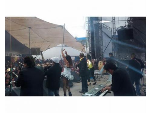 Especialistas en bodas