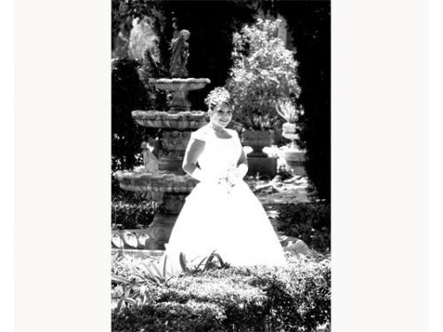 Fotografías increíbles