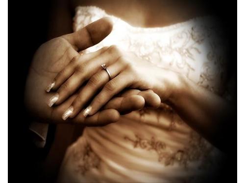 Captando cada detalle