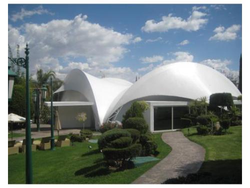 Servicios de primera