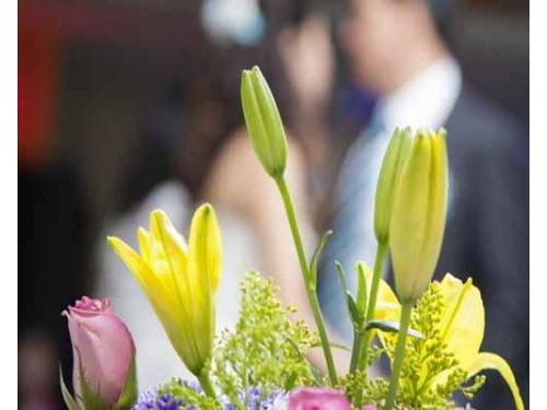 Efectos con la camara