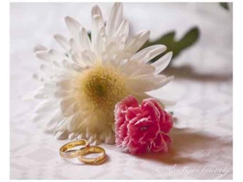 Anillos de compromiso