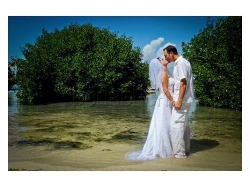 Sesión trash the dress