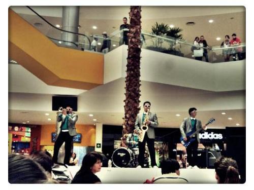 Grupo tocando en vivo