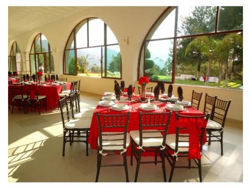 Mesas cuadradas y sillas tiffany