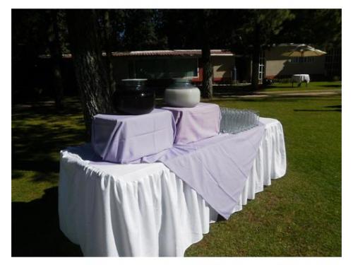 Mesa con aguas frescas para invitados
