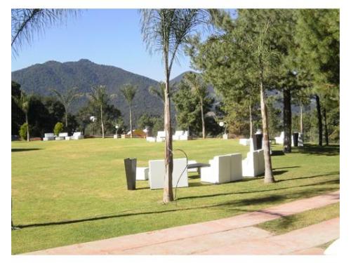 Salas lounge en jardín