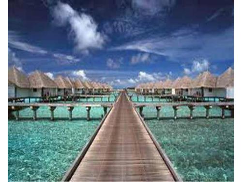 Vive maravillosos momentos