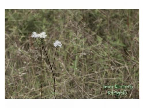 Alta calidad en imagen