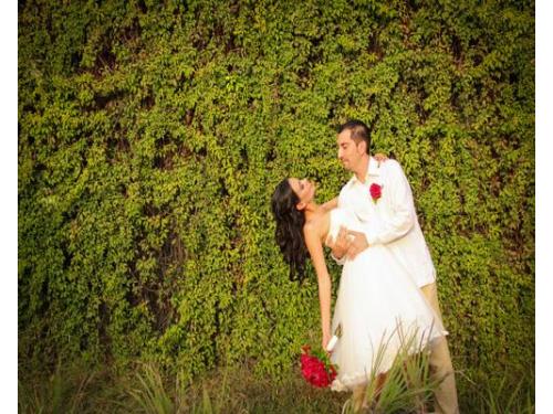 Fotografía de pareja