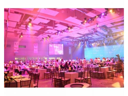 Disfruta de un gran show