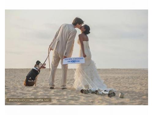 Los mejores djs para bodas