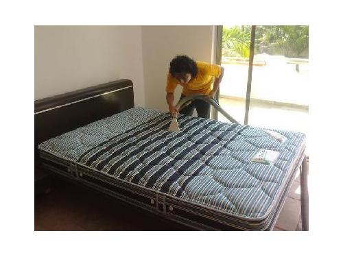 TU COLCHON TIENE ACAROS, LLAMANOS NOSOTROS TE ELIMANOS CUALQUIER BICHO EN LA LAVADA