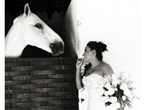 Tus pasatiempos reflejados en cada toma