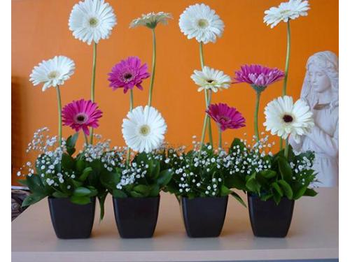 Decoraciones simples