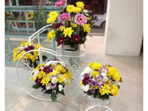 Arreglos especiales y hermosos