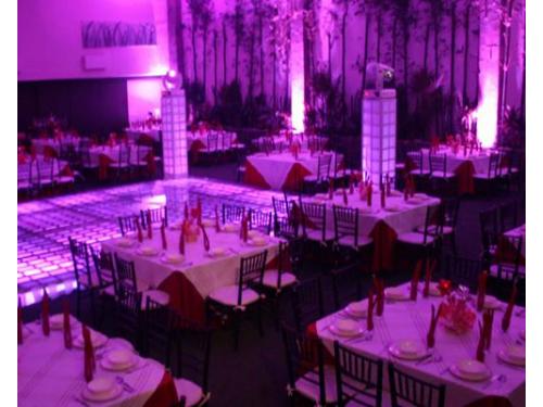 Varias opciones de shows