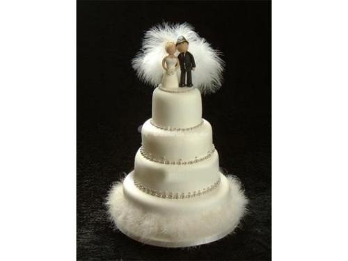 Con plumas para novios