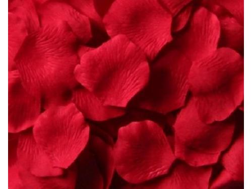Pétalos de seda rojos