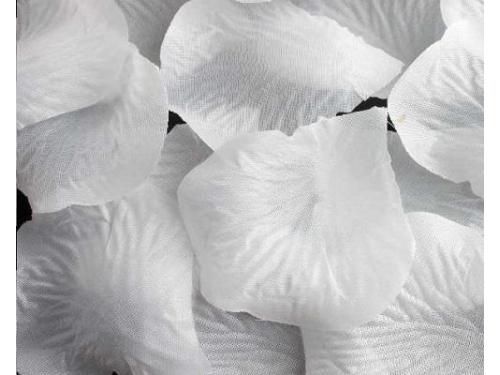 Pétalos de seda blancos