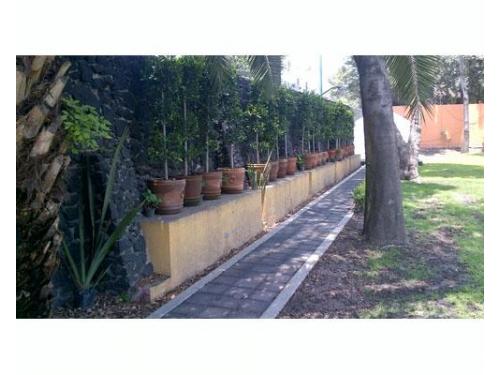 Jardín pedregal para tu boda