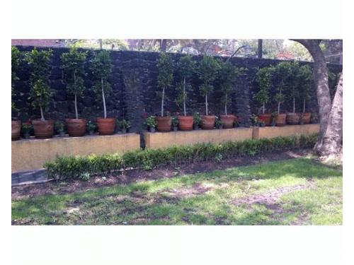 Cada rincón es hermoso