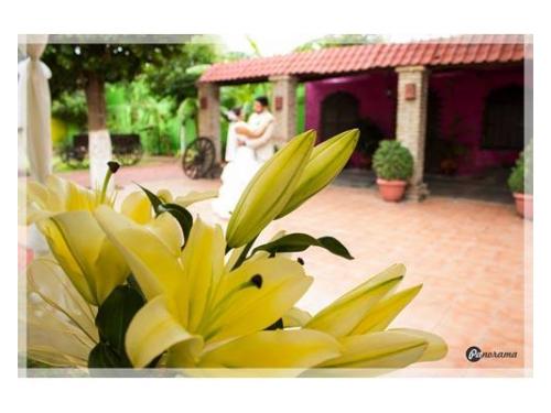 Recuerdos innolvidables