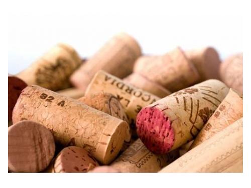 Los mejores vinos para el día de tu boda