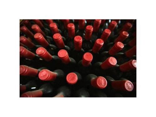 Variedad en vinos nacionales e internacionales