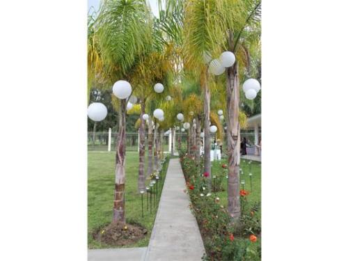 Lámparas para iluminar el jardín