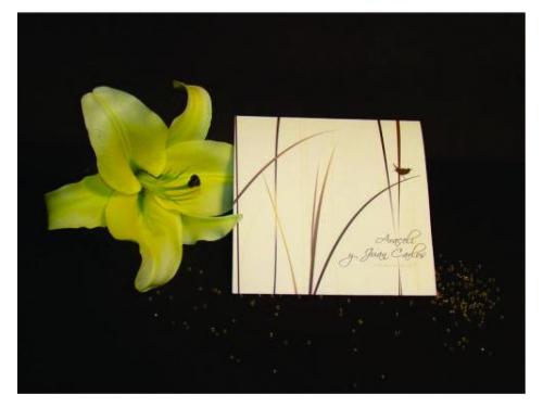 Variedad de diseños