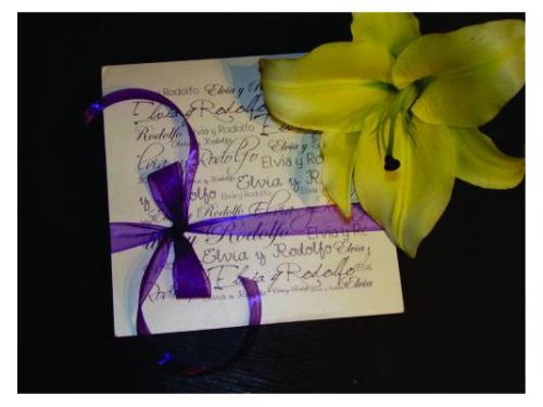 Diseñadores profesionales