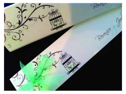 Experiencia garantizada