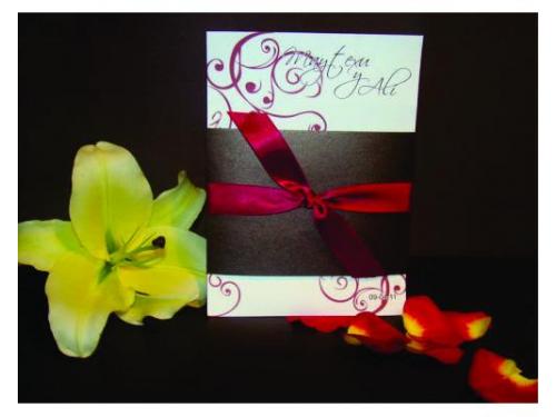 Amplio portafolio de diseños