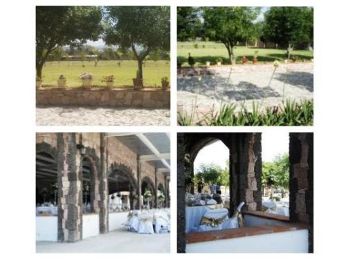 Bonita arquitectura del jardín para bodas