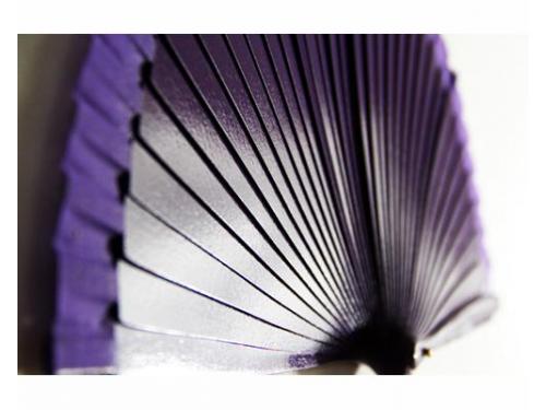 Excelencia y prestigio