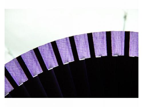 Expertos en abanicos