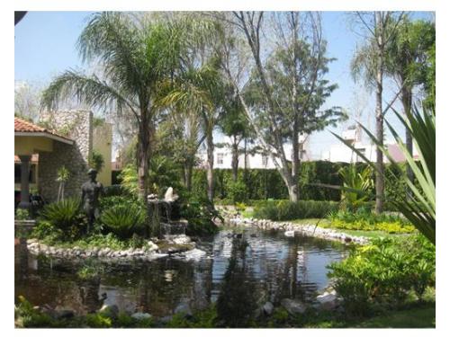 Bellas fuentes, ideales para una sesión fotográfica