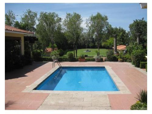 Cuentan con una rica alberca