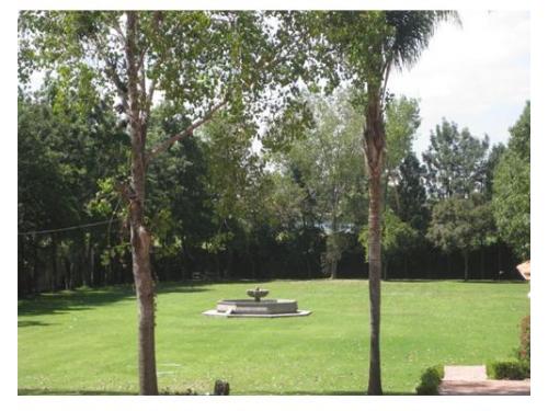 Todos los jardines cuentan con bellas fuentes