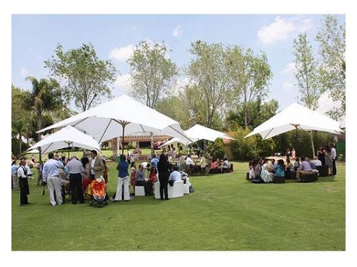 Los invitados conviviendo en el jardín