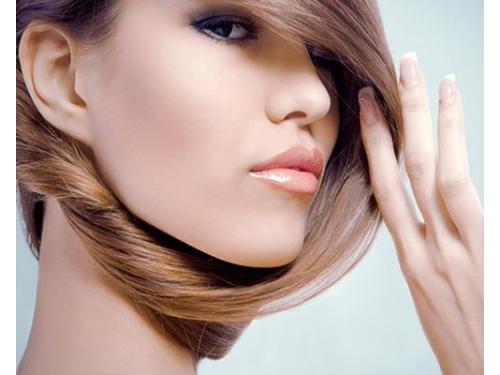 Conoce nuestros productos