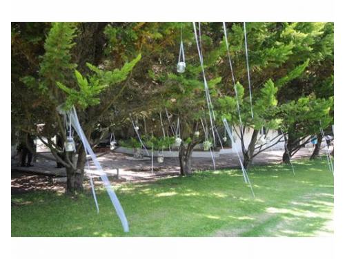 Velas para decorar el jardín