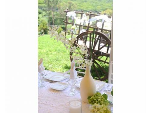 Expertos en decoración