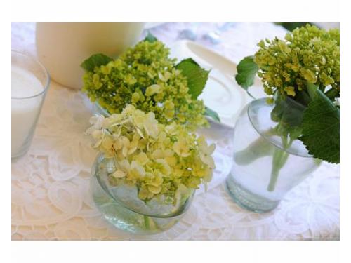 Centros de mesa naturales