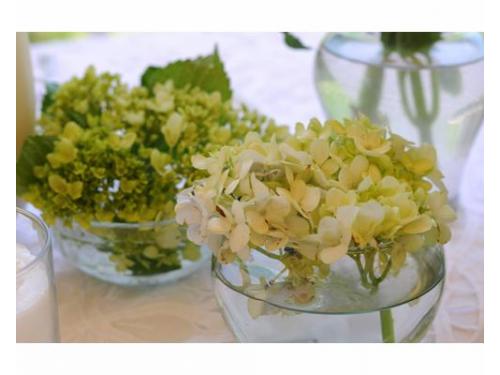 Elige las flores en tu mesa