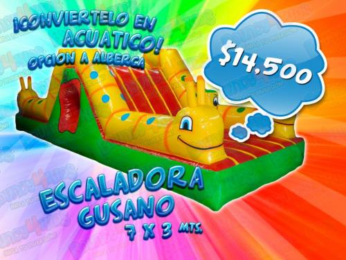 Toro mecanico bouncy4kids