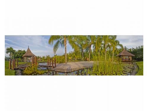 Rodeado de naturaleza