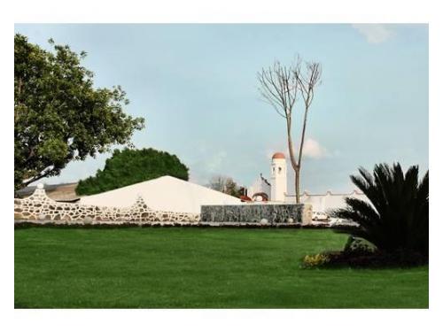 Excelente mantenimiento del jardín para boda