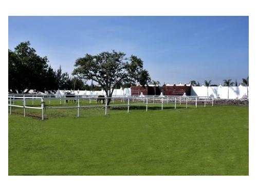 Espectacular vista del jardín
